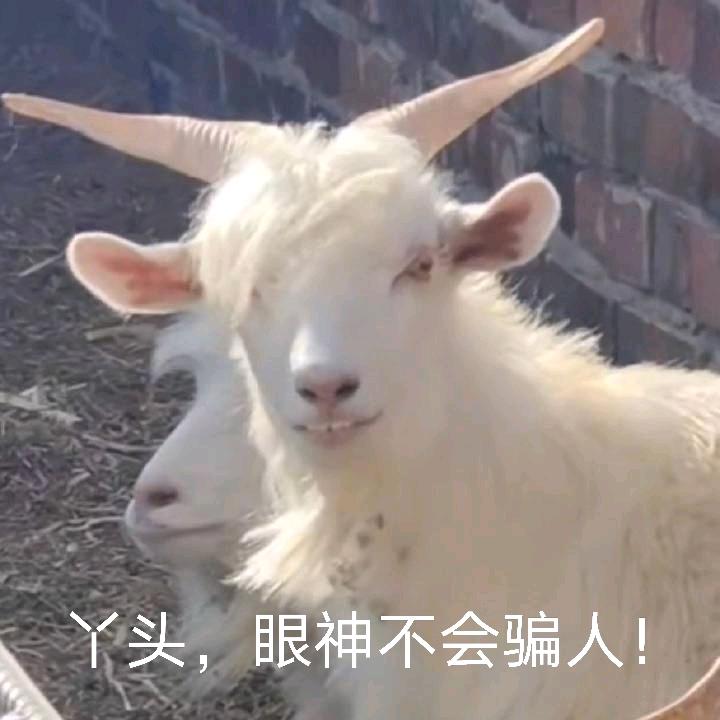 在下笑纳了（见过张杰版）