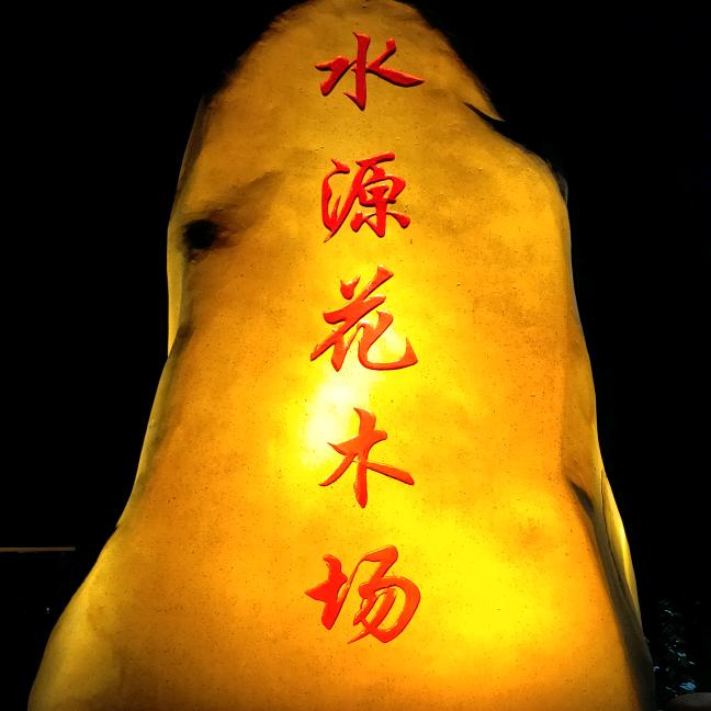 龙船花王子