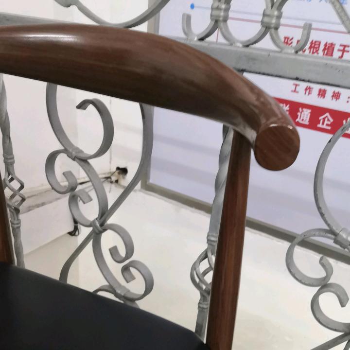 李子君