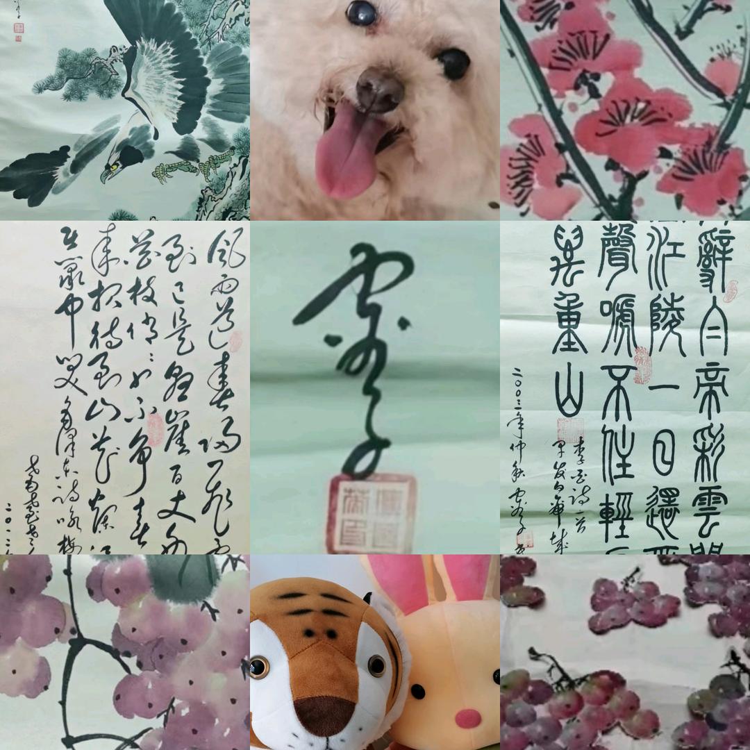 空谷子