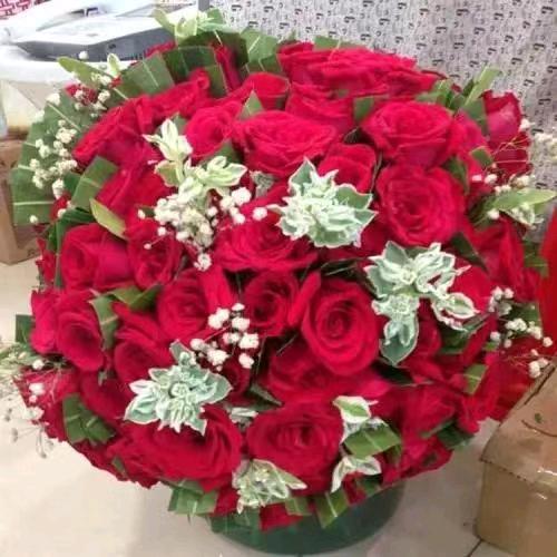 四季花开头像