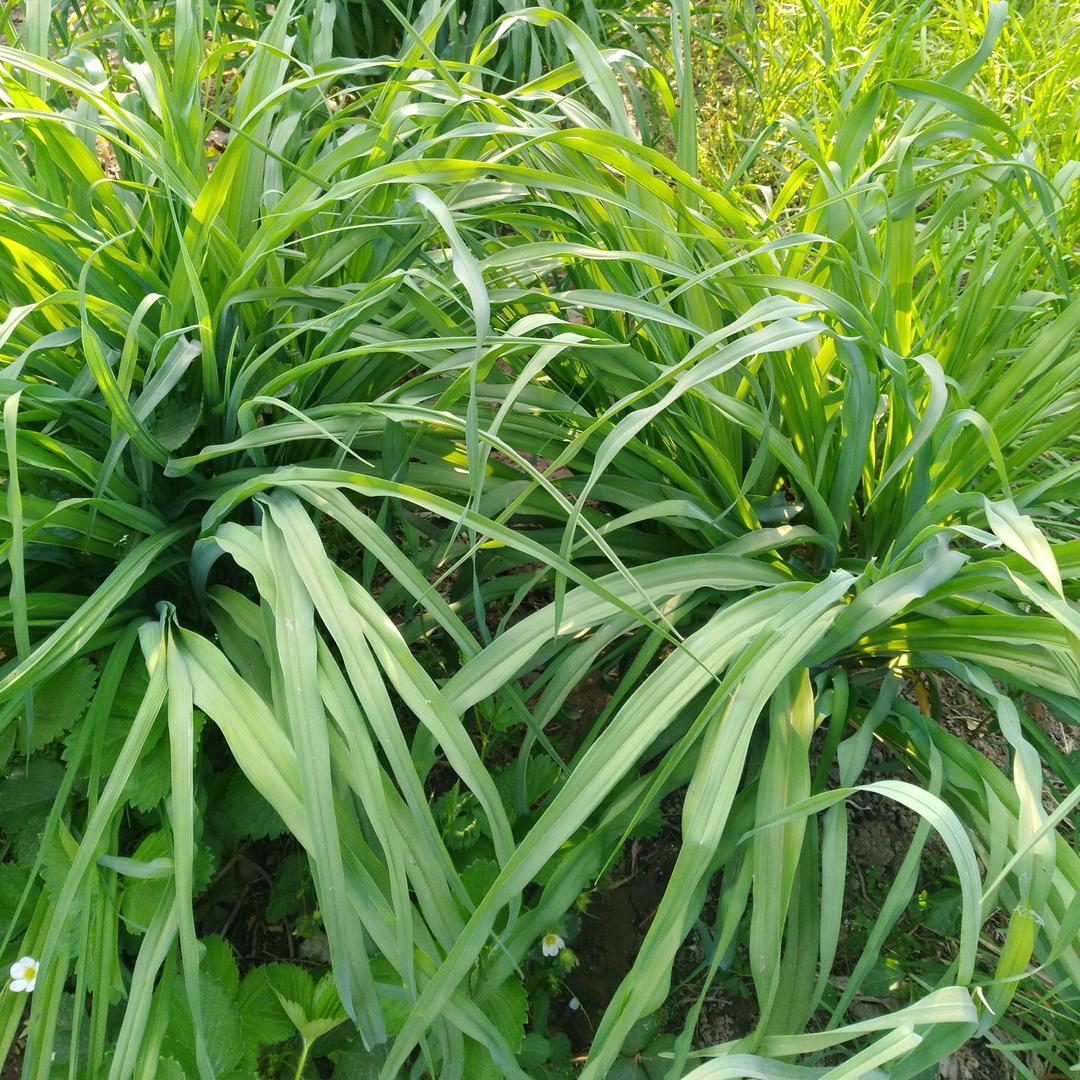 护你周全 做你暖阳