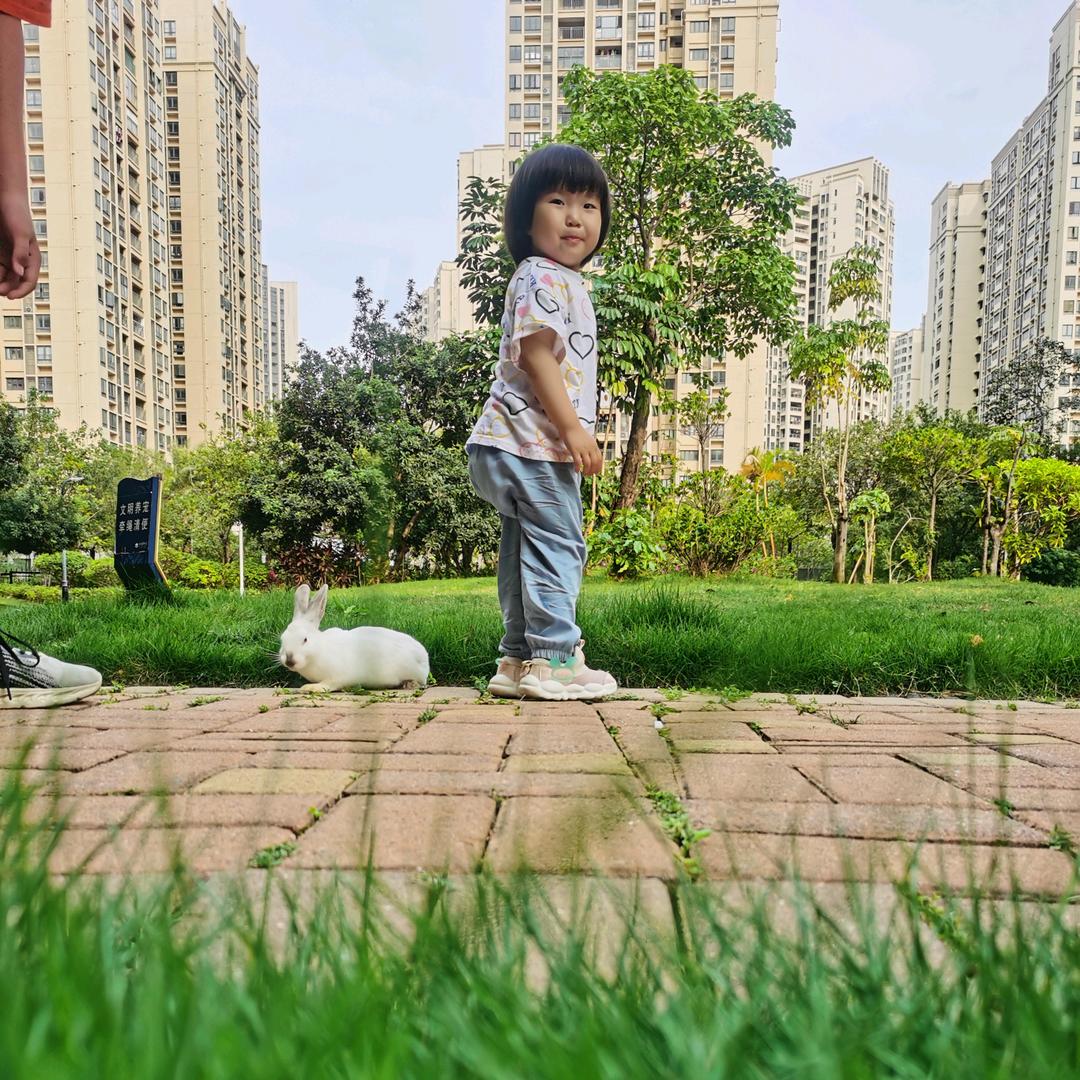 皮特小王子