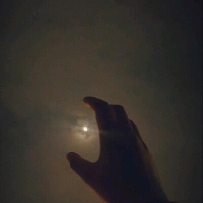 好大一棵树@