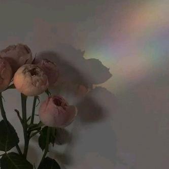 侯献芹