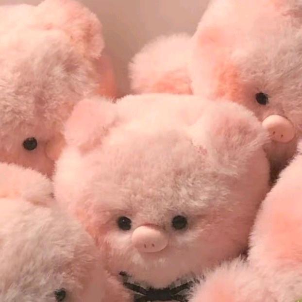 今天也要早点睡🥕