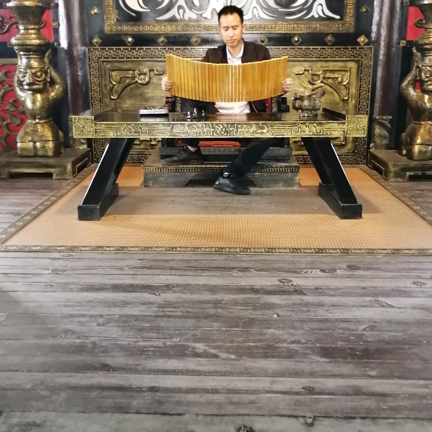 奋斗的小鸟
