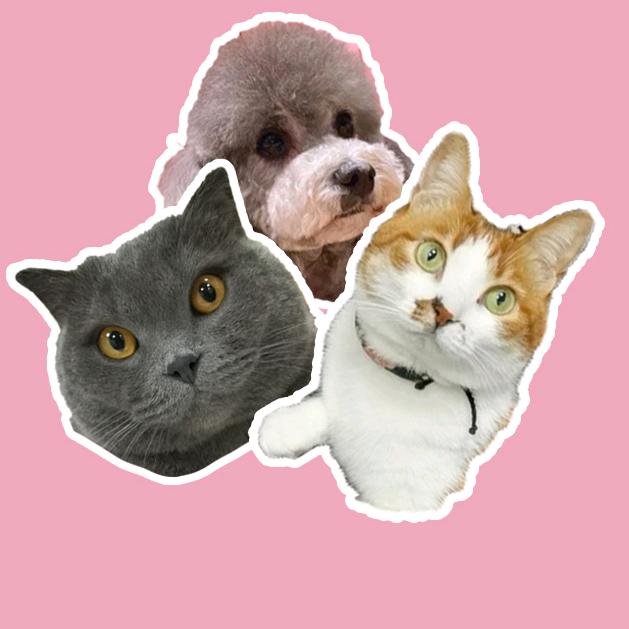 萌家货