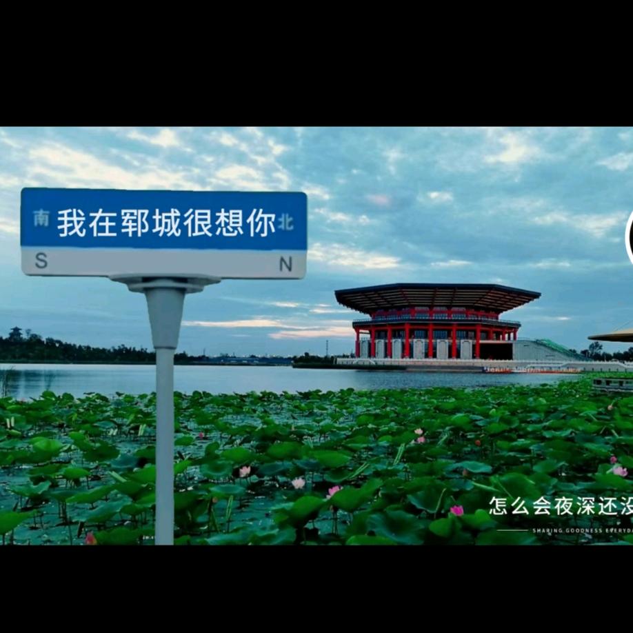 郓城Q哥出租挖机