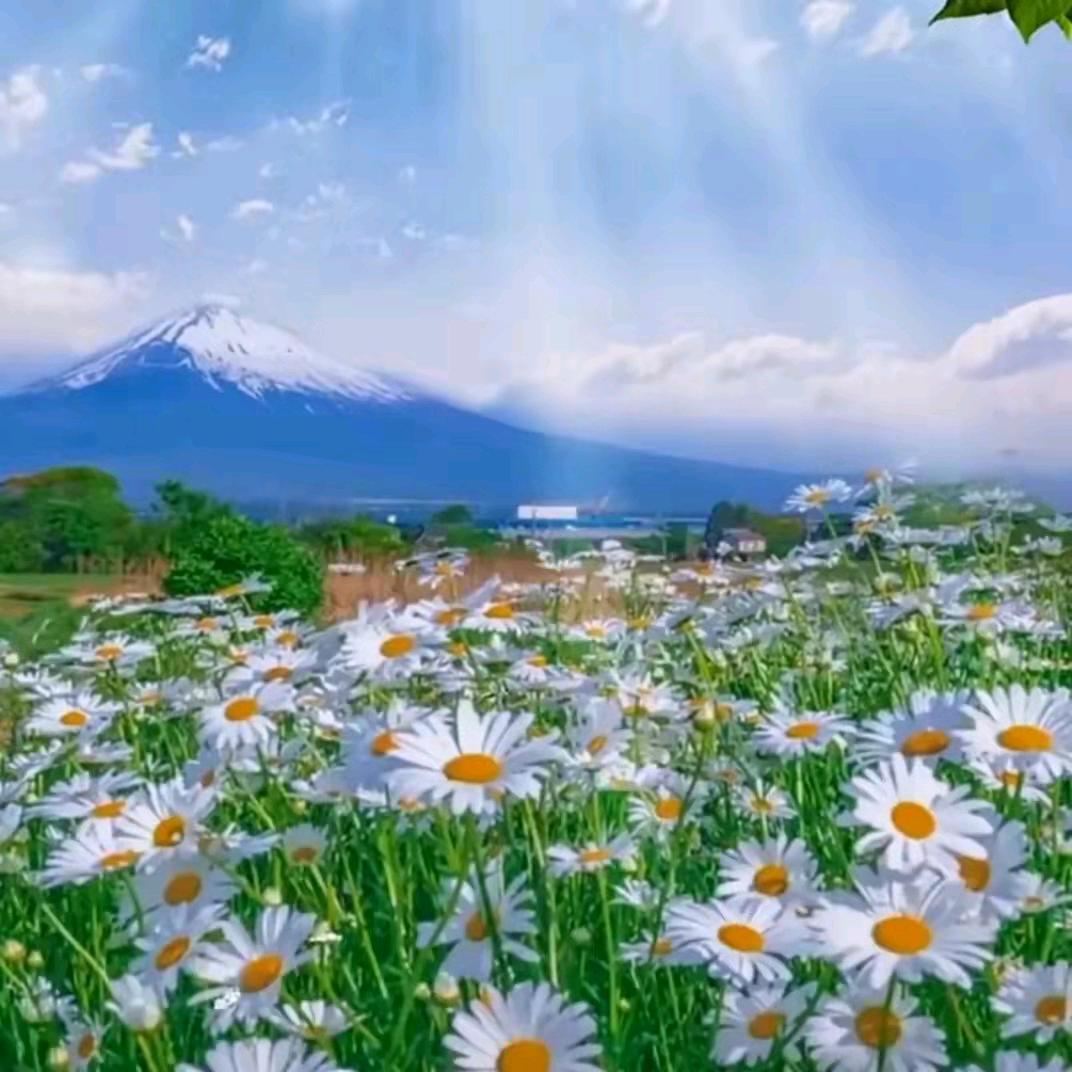 永远