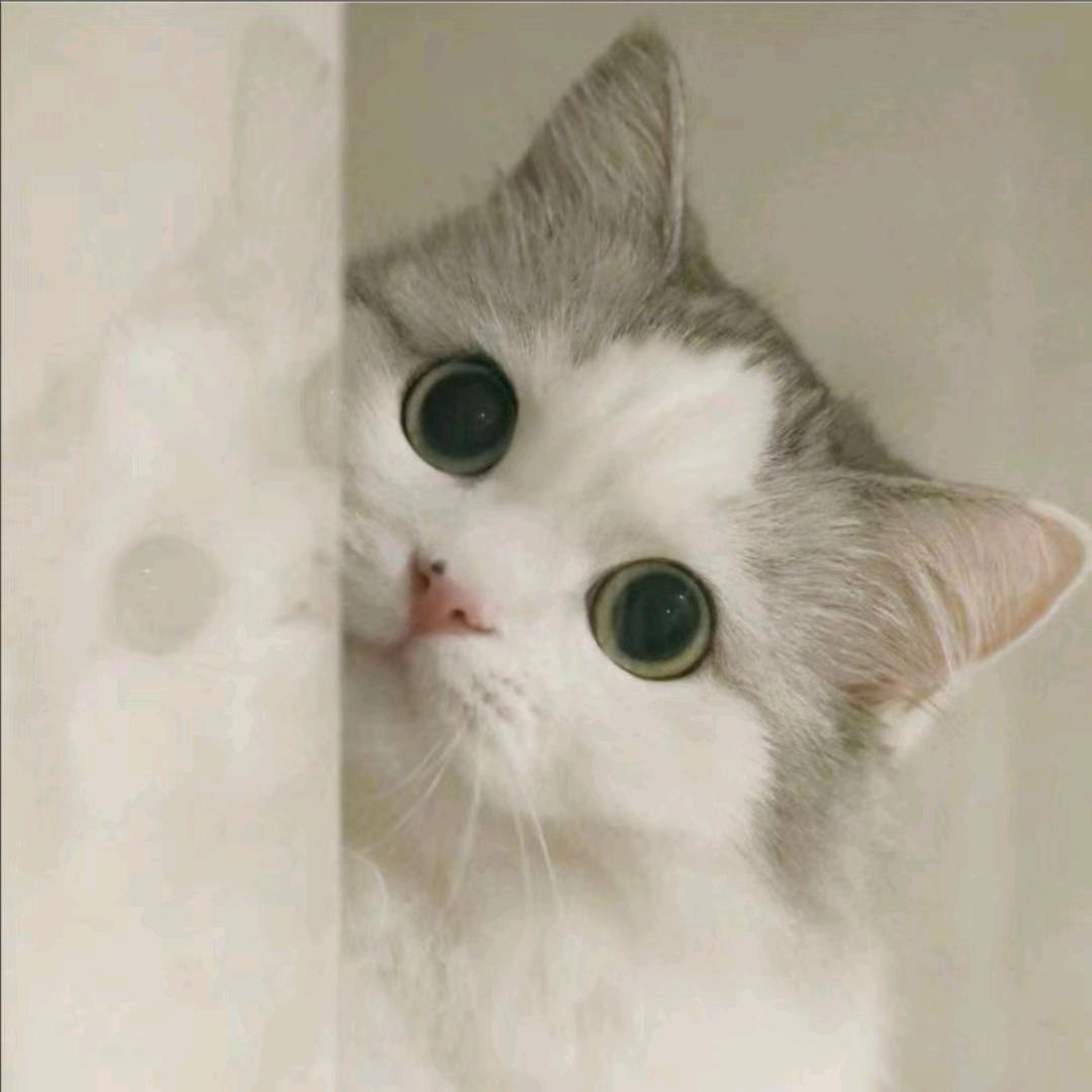treasure