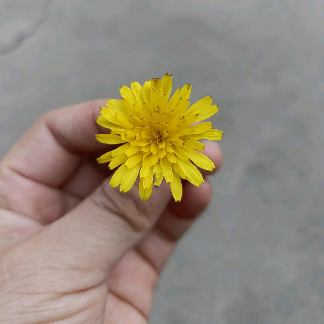 笑吧