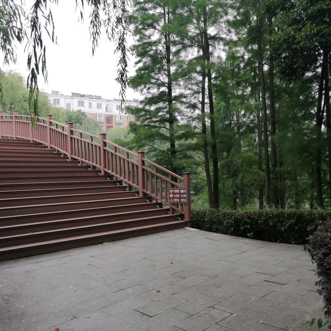 老玩童CCL
