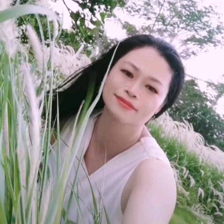 傅芝生