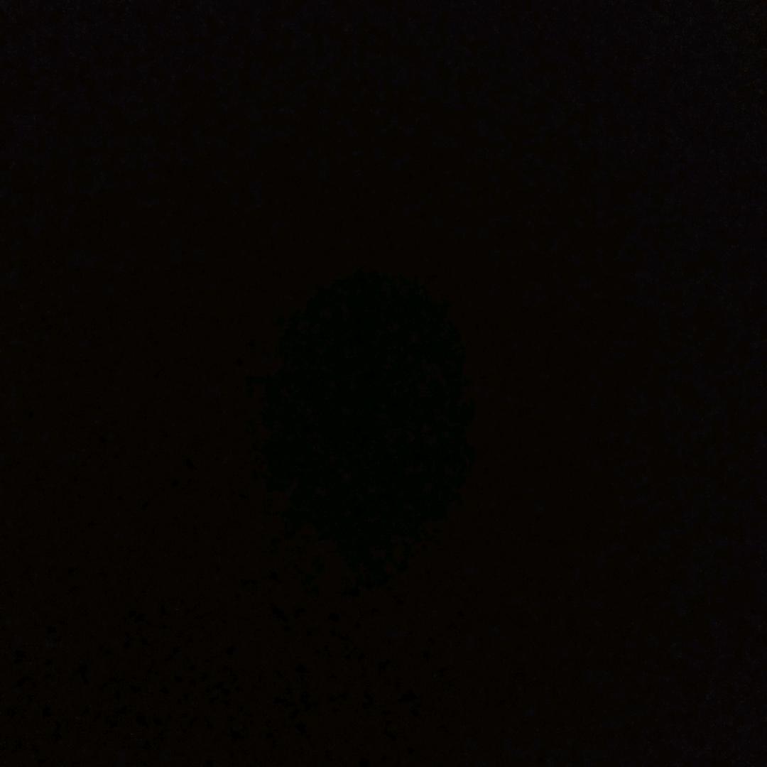 高级绿茶