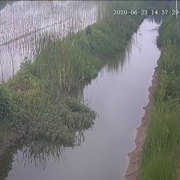 袁仁勤.冫、.`11兵的；ξ.