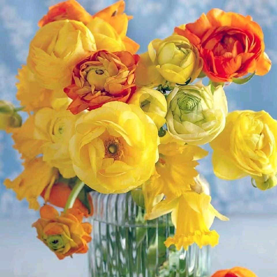 做人一定要诚实