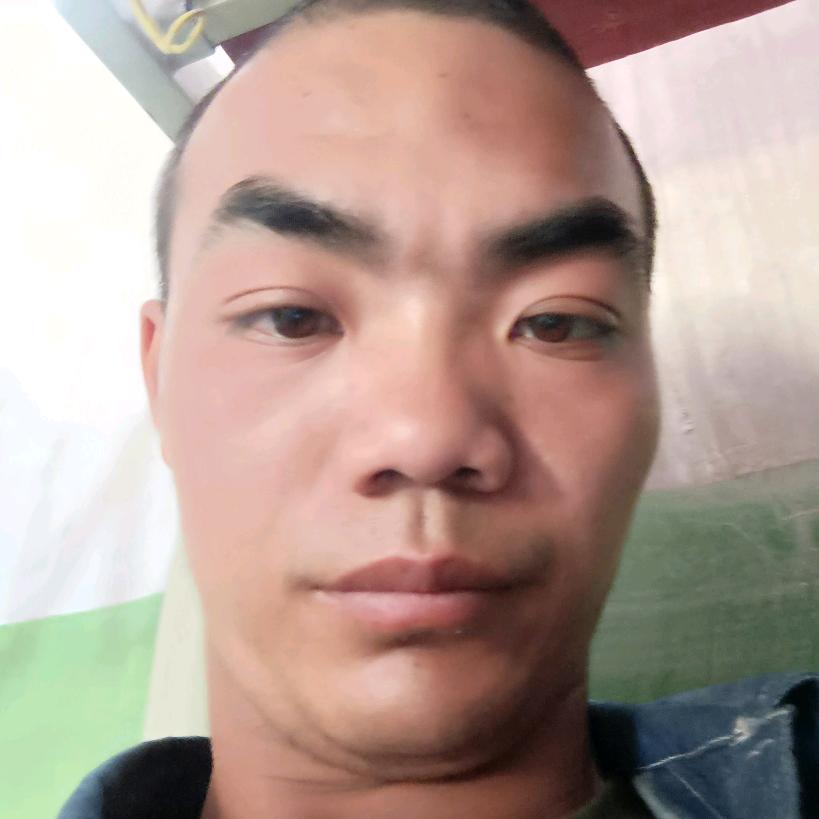 刁伟