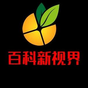 百科新视界