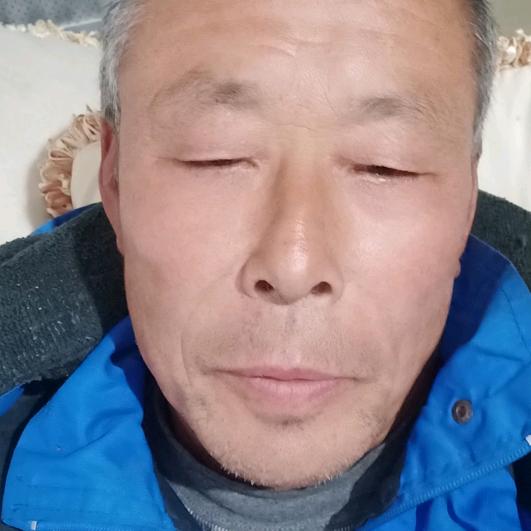老杨桃梨
