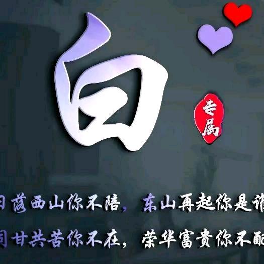 白哥