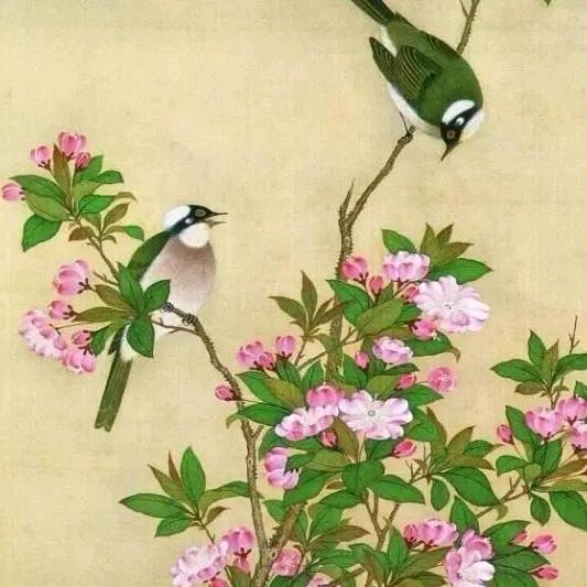清华