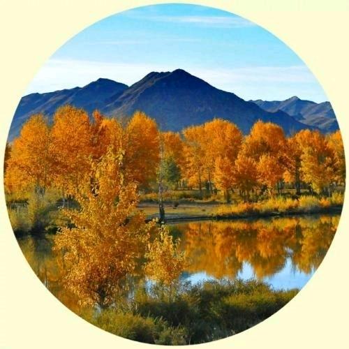 你说的都对行了吧