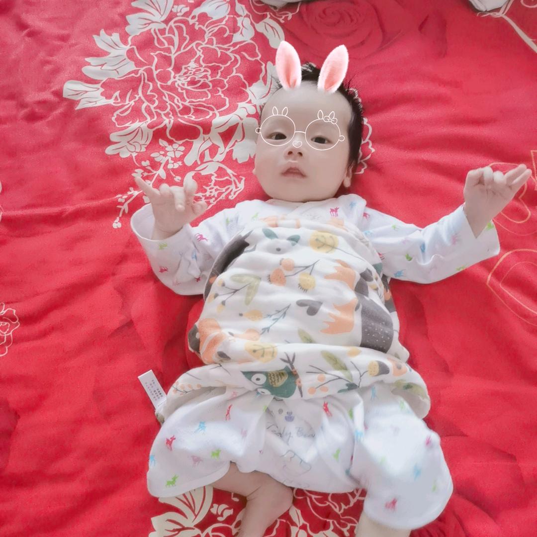 🌻一如🌸季往🌻🌸🌸