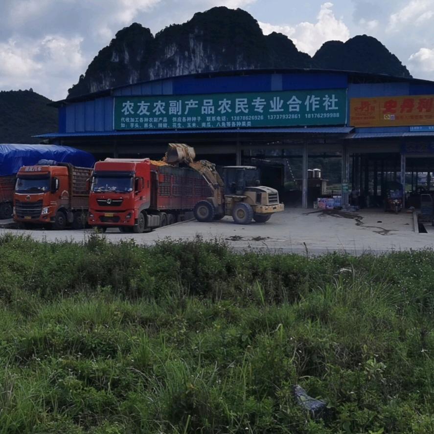 农友农副产品农民专业合作社