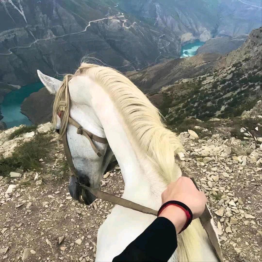 😛阿龙