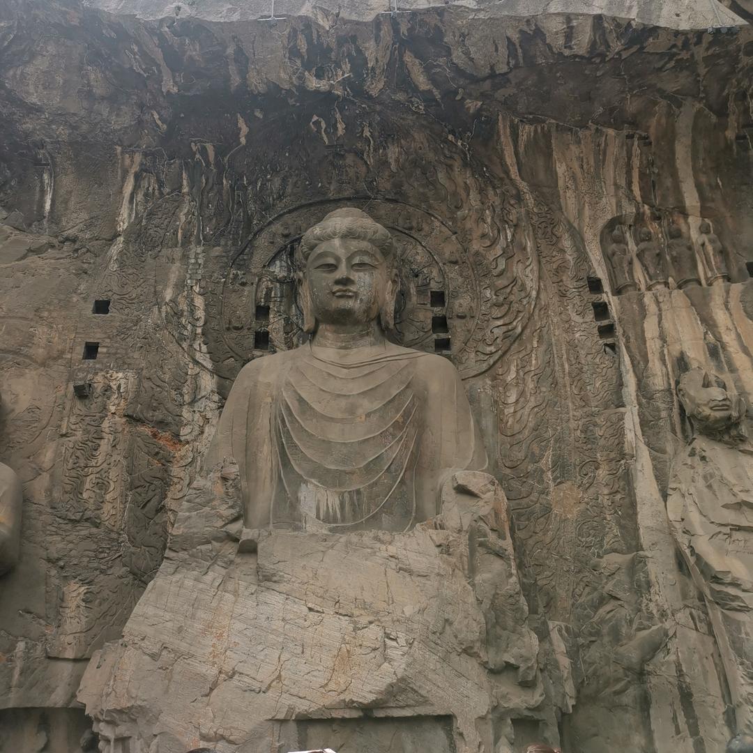 坦荡
