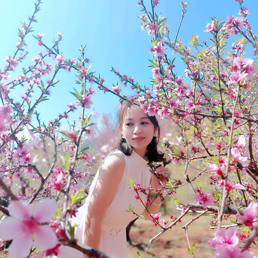 所以