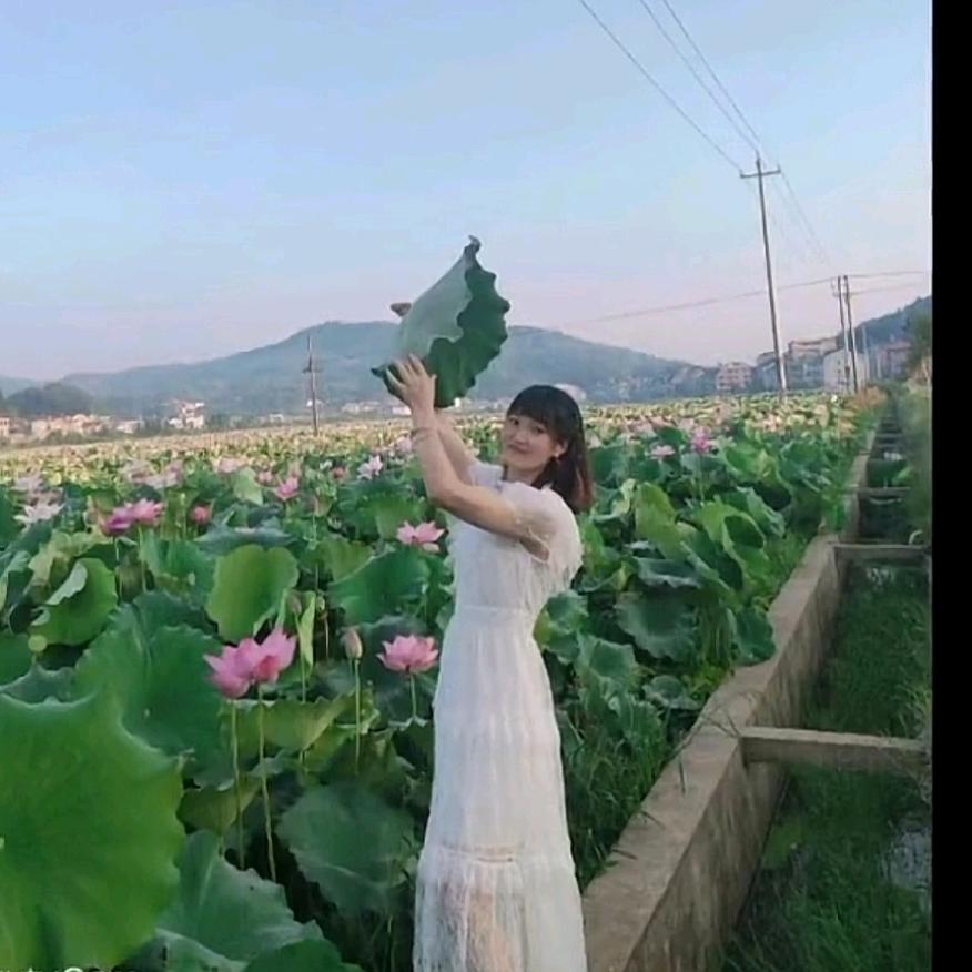 朝霞