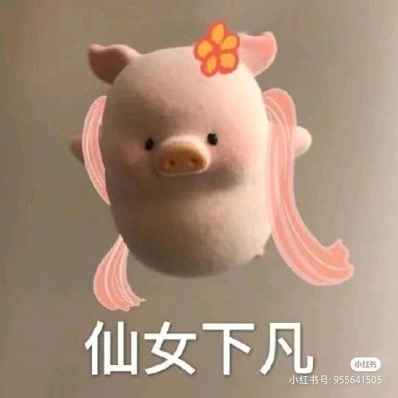 鹤来饲料1号