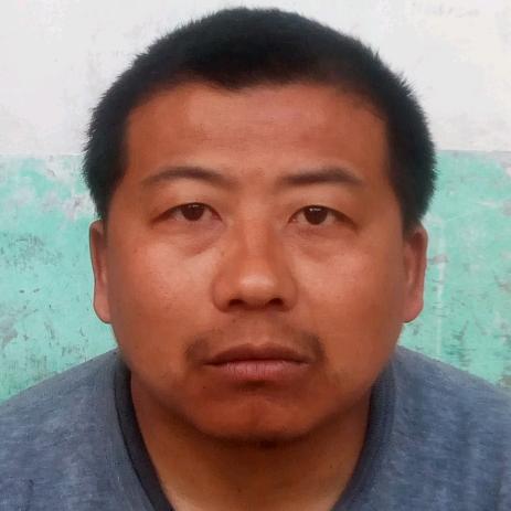 李宝宝