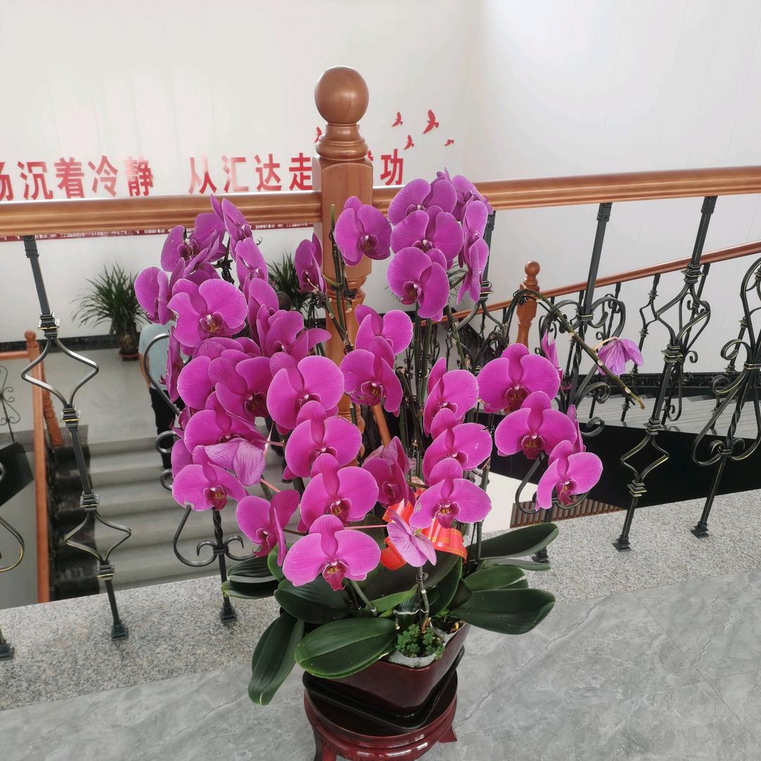 你是我找的人