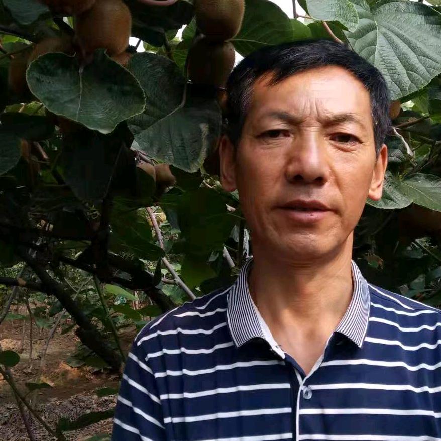 老孙家富硒猕猴桃