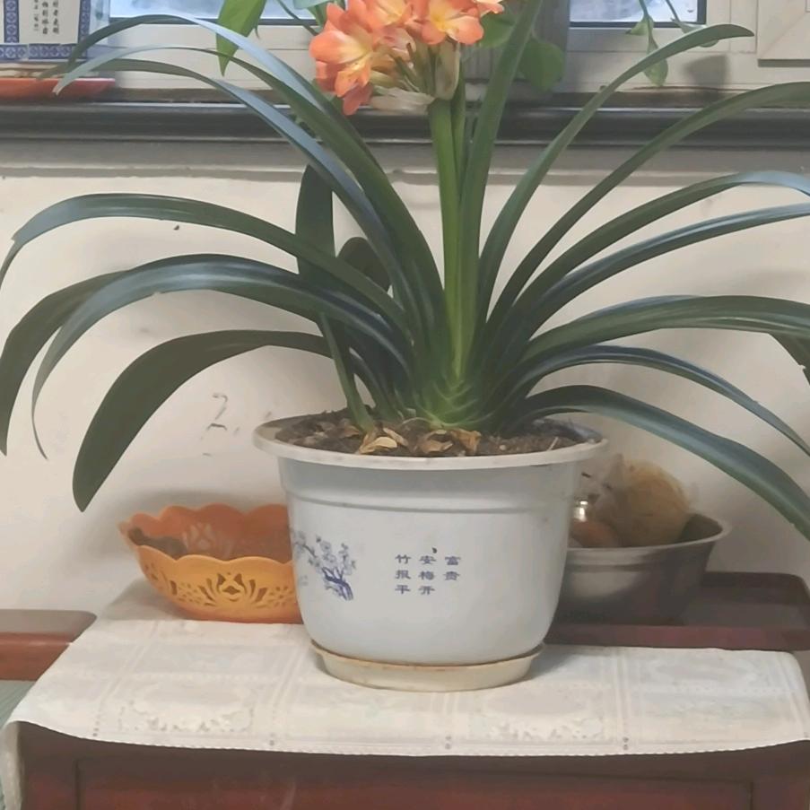 老赵