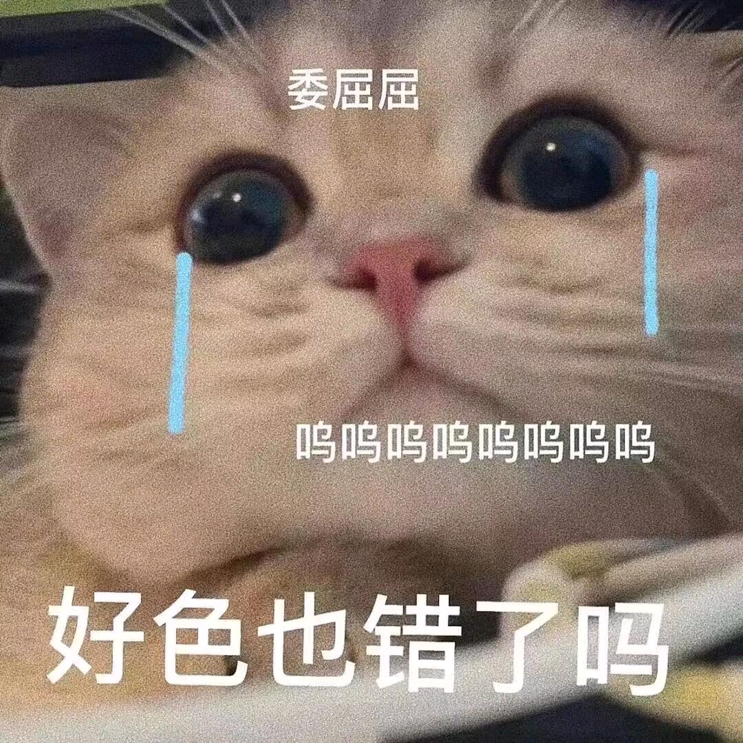✌︎❣️❥🥔·P·P·❣️