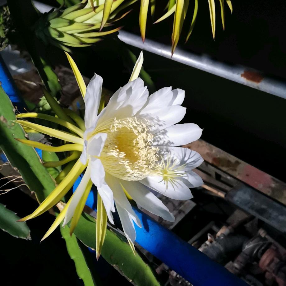 漂洋过海@