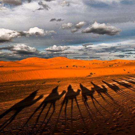 91范风者（王）