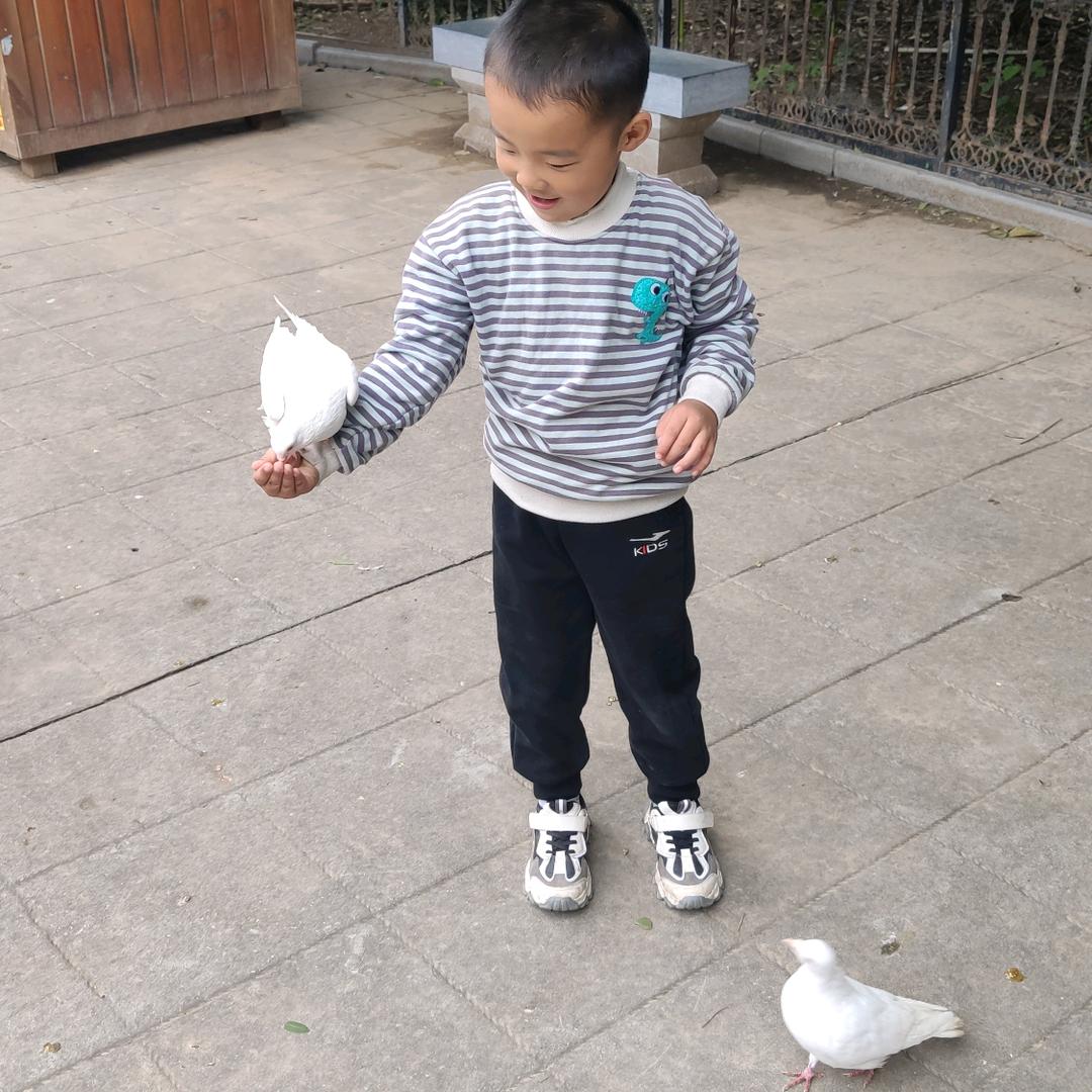 生命之源九九