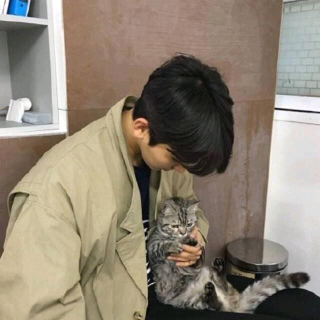 泽影