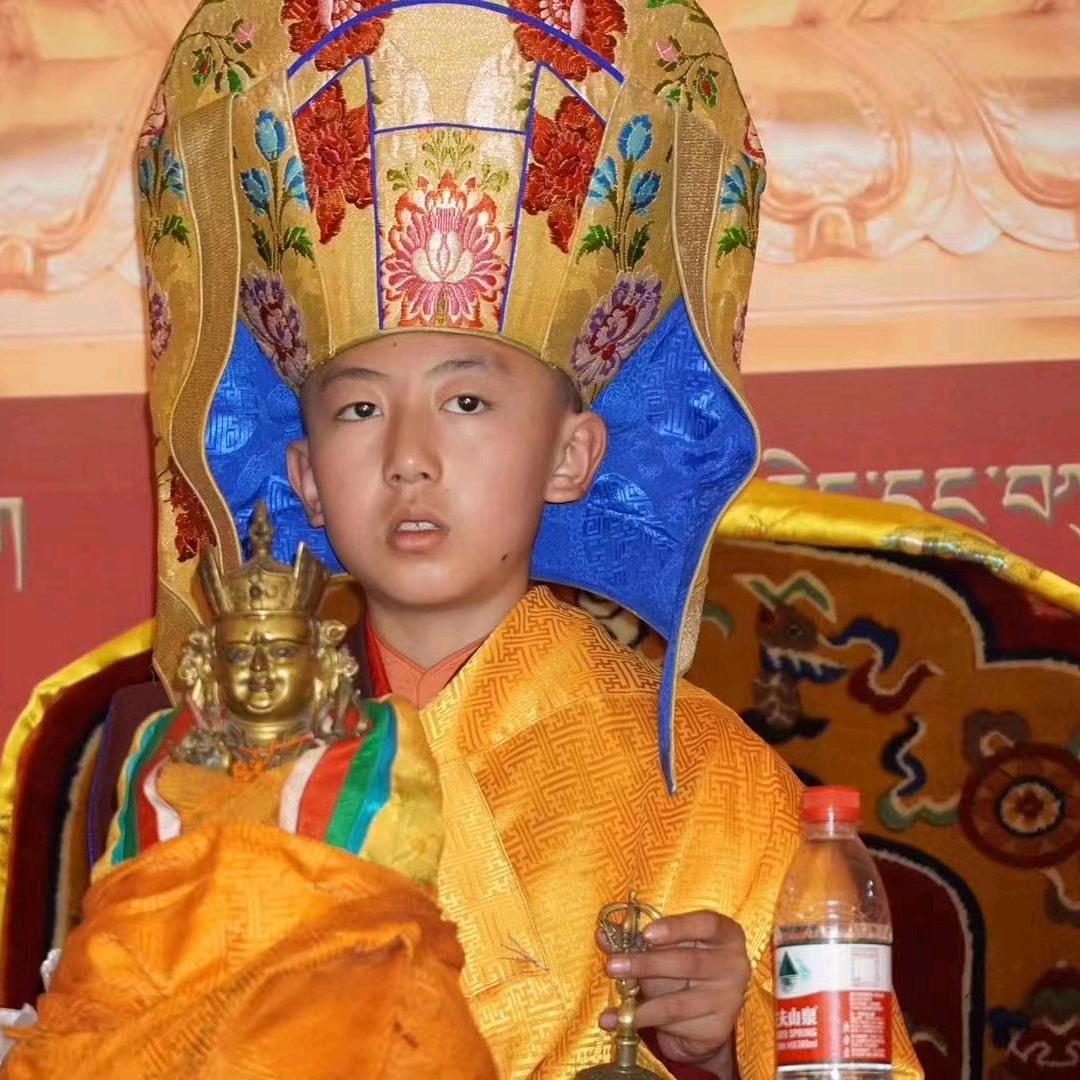 你不是我的对手。