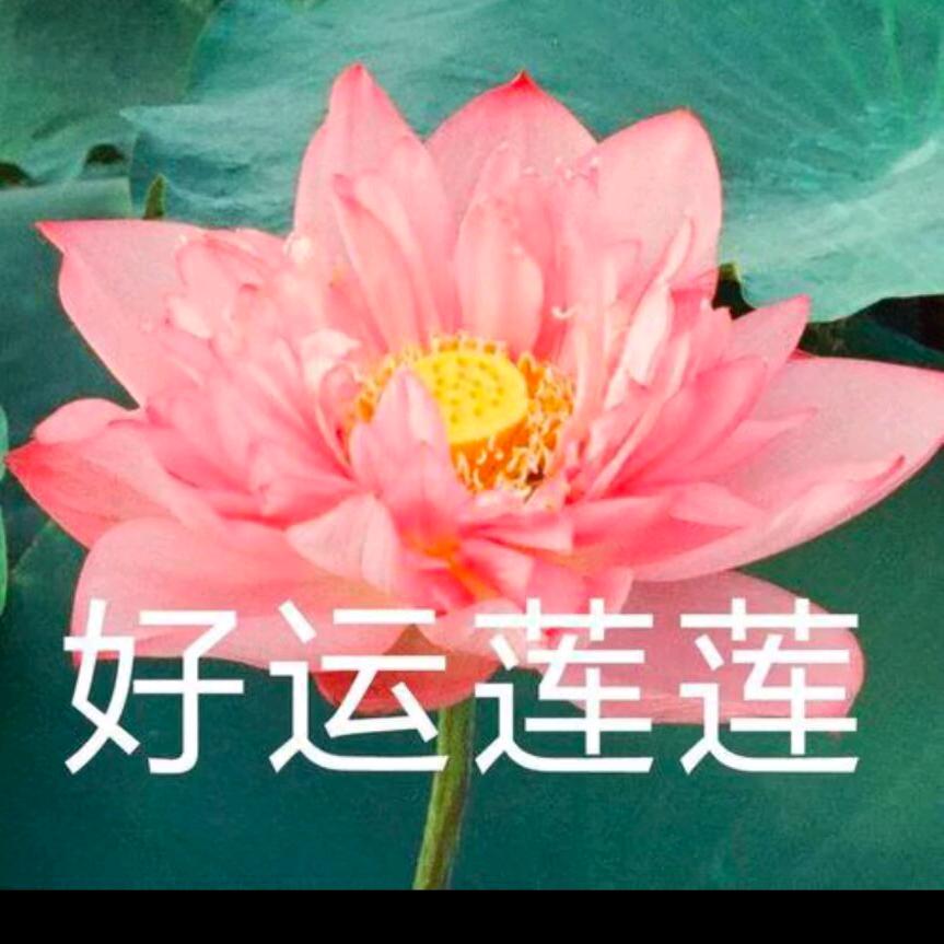 强奶奶