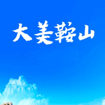 大美鞍山（咨询）