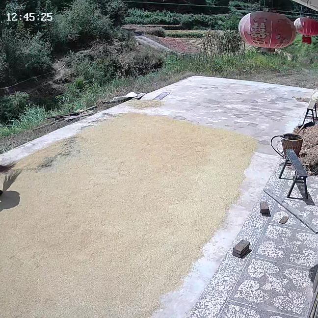 缘来隨心&