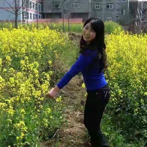 淡淡云絮