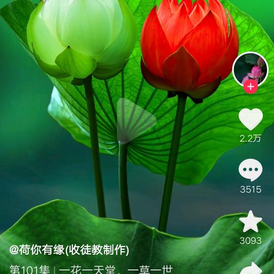 浑身是伤了眼泪