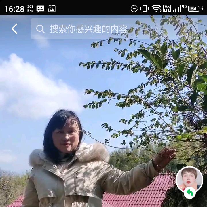 香子